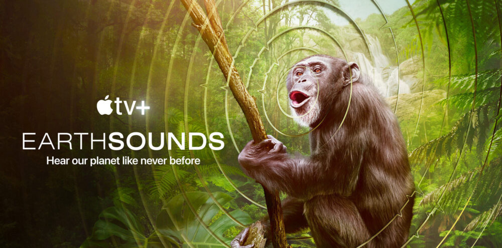 Earthsounds wide