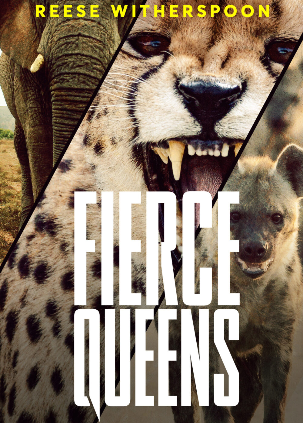 Fierce queens bigger