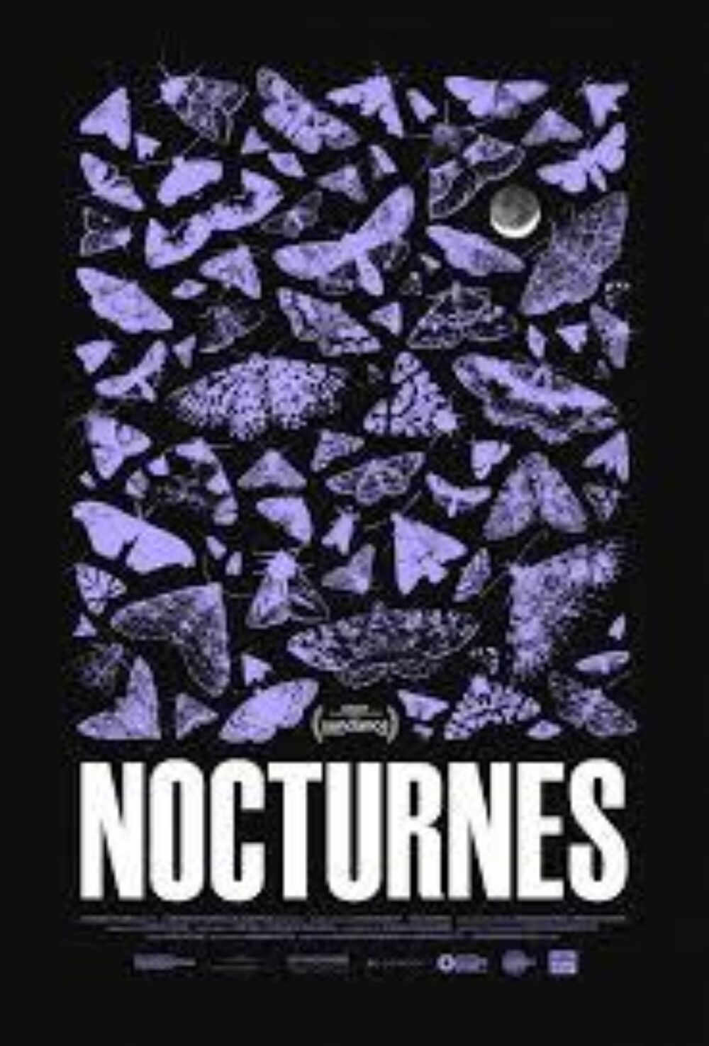 Nocturnes web pic